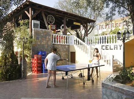 Отель Celay 3*