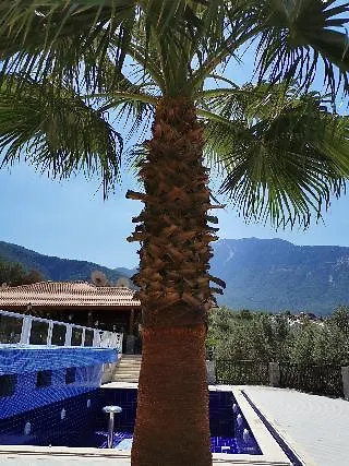 Celay Hotel